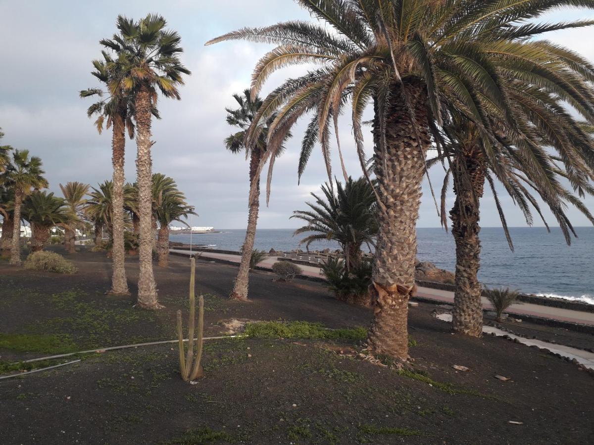 Luxury Apartamento Luz De Mar Complejo Playa Roca Costa Teguise Εξωτερικό φωτογραφία